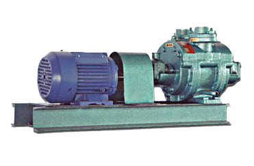 Water Ring Vacuum Pump