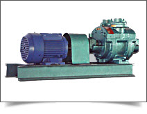 Water Ring Vacuum Pump